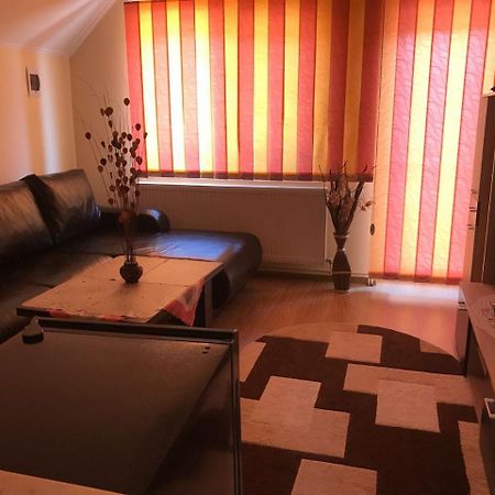Steluta Villa Călimăneşti Dış mekan fotoğraf