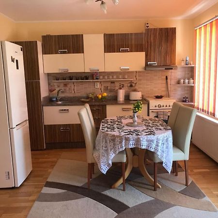 Steluta Villa Călimăneşti Dış mekan fotoğraf