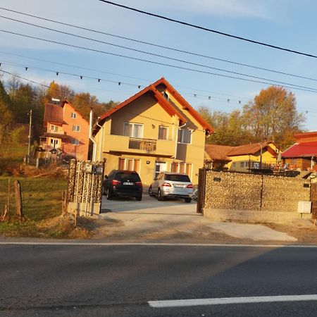 Steluta Villa Călimăneşti Dış mekan fotoğraf