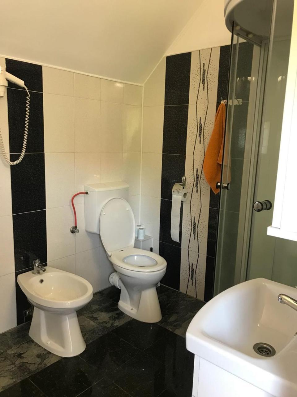 Steluta Villa Călimăneşti Dış mekan fotoğraf