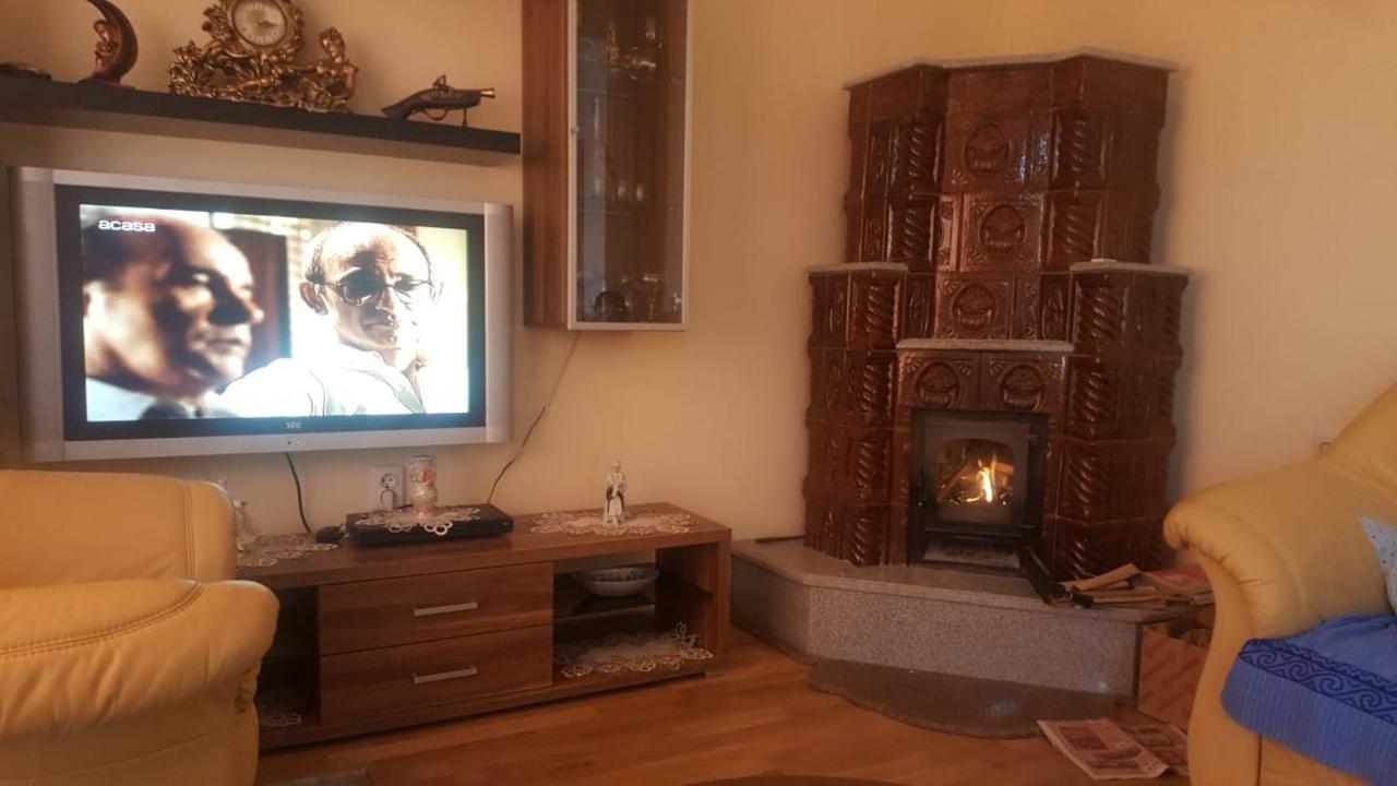 Steluta Villa Călimăneşti Dış mekan fotoğraf