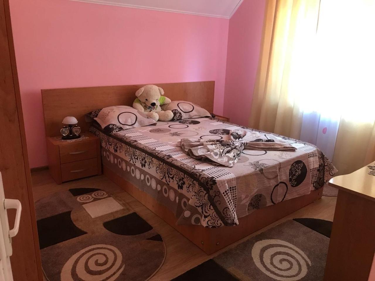 Steluta Villa Călimăneşti Dış mekan fotoğraf