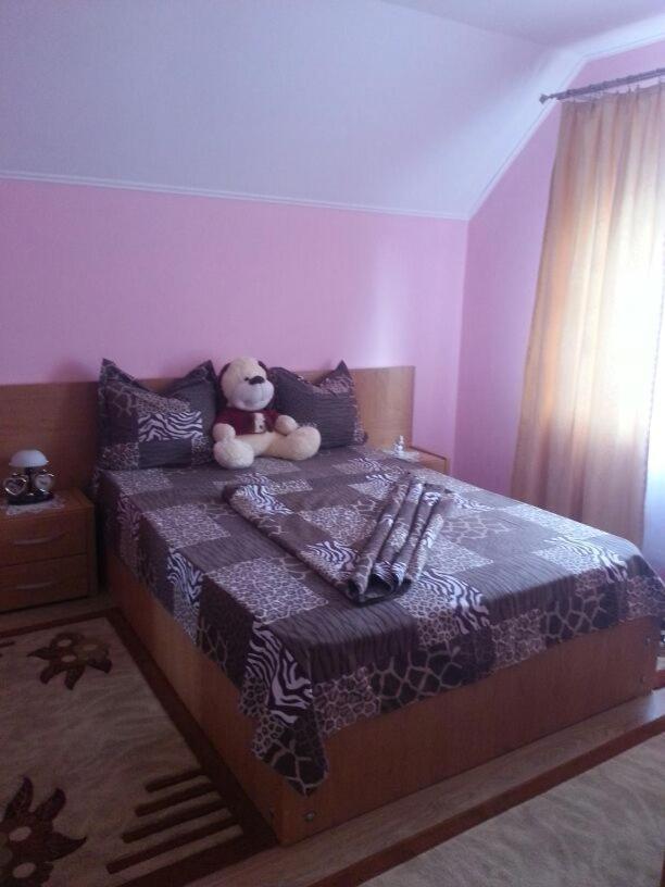 Steluta Villa Călimăneşti Dış mekan fotoğraf