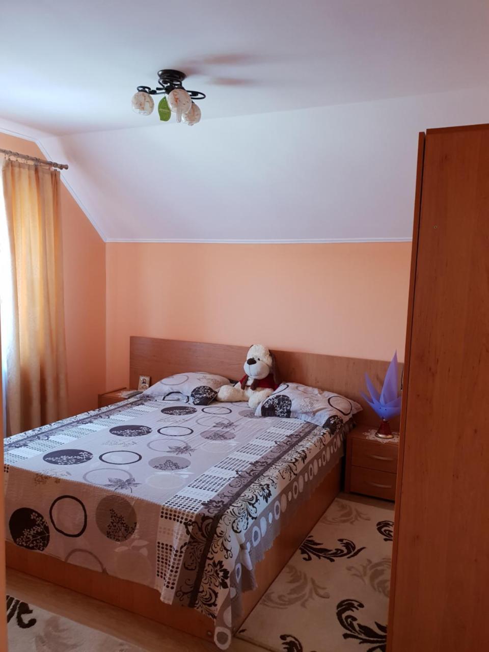 Steluta Villa Călimăneşti Oda fotoğraf
