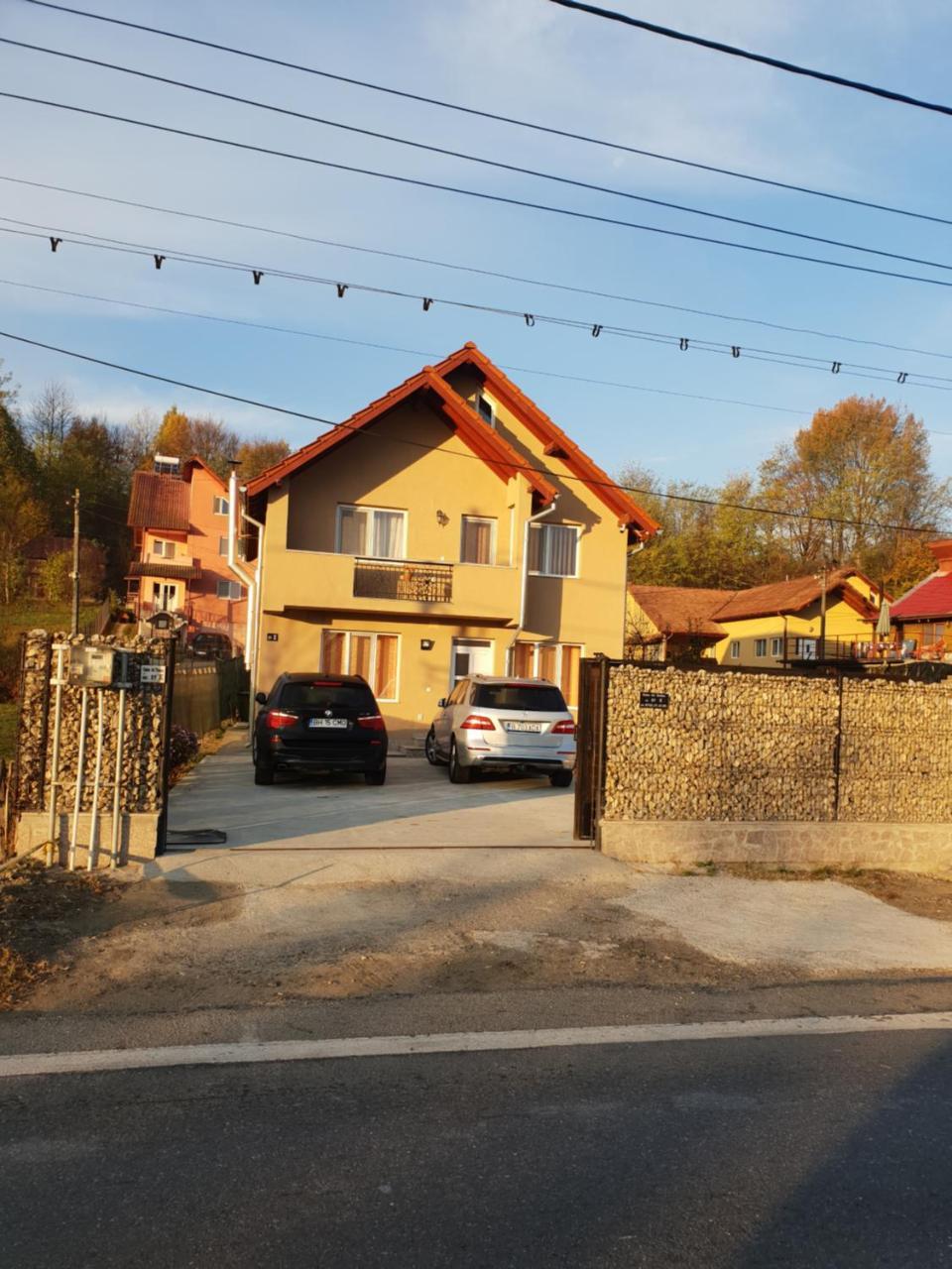 Steluta Villa Călimăneşti Dış mekan fotoğraf